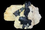 Black Tourmaline (Schorl) Crystals on Feldspar - Namibia #69179-1